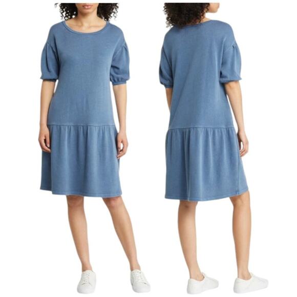 Caslon Short Sleeve Drop Waist Dress Blue Size Large NWOT $59 MSRP - Picture 1 of 5